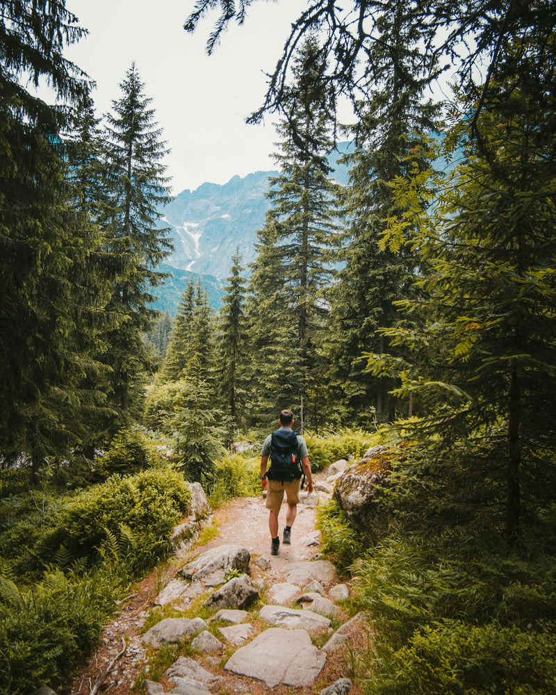 Excursionista con mochila en un sendero de bosque