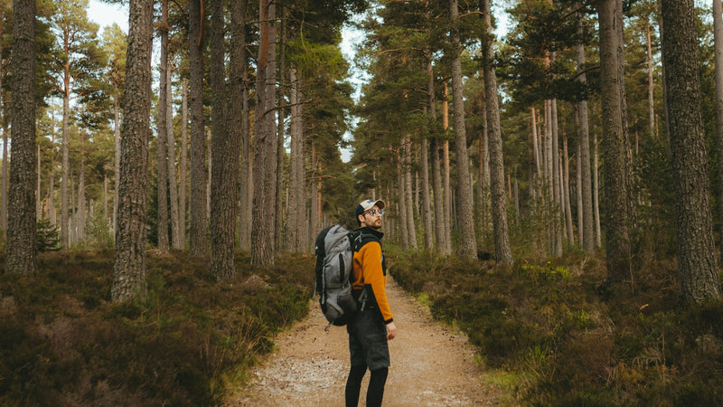 Excursionista con pantalón de trekking en un sendero de bosque
