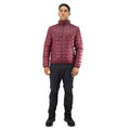 Parka insulada Traveler Hardwork para hombre color cabernet