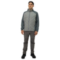Parka New Nómade Hardwork para hombre color gris